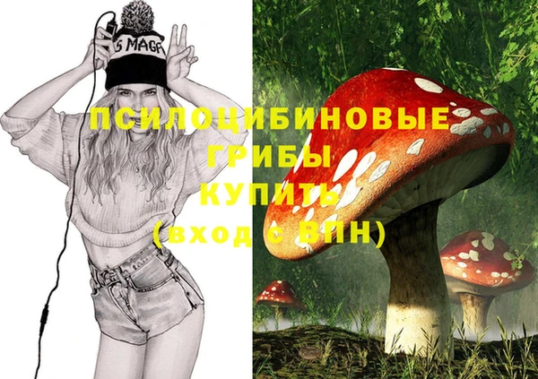 мет Аркадак