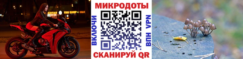 блэк спрут ТОР  как найти закладки  Малоархангельск  Псилоцибиновые грибы мухоморы 